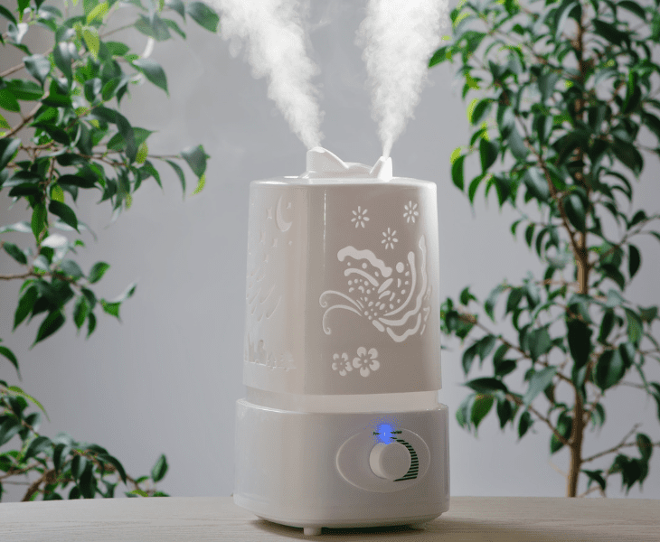 steam vaporizer