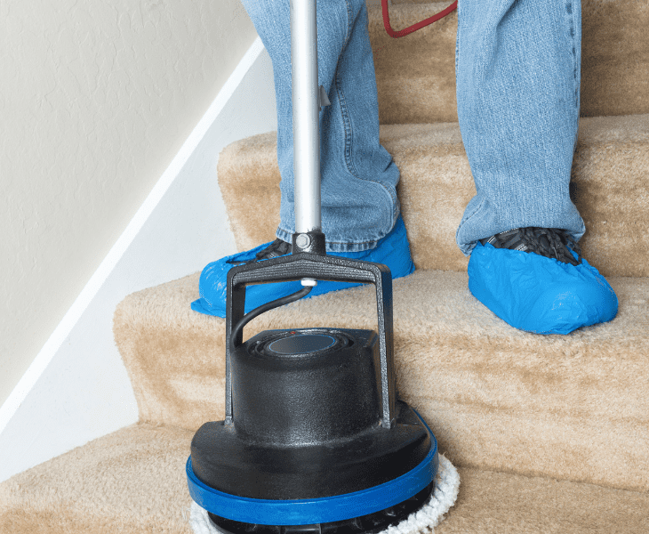 use in carpet cleaner