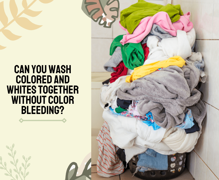 wash colored and white clothes