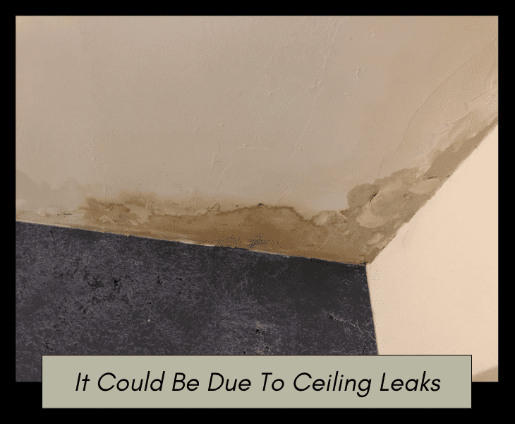 leaks in ceiling