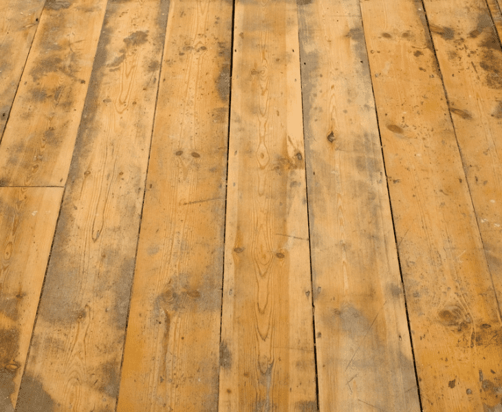 floorboard creaks