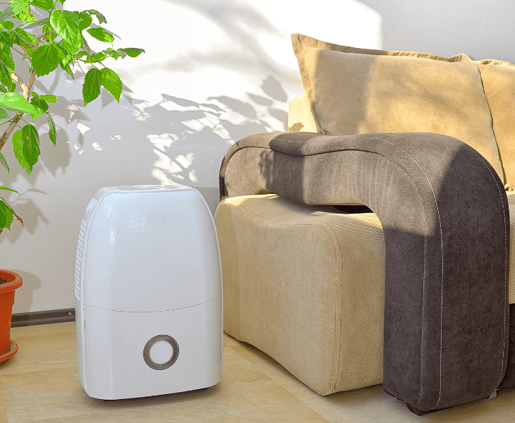 use dehumidifier