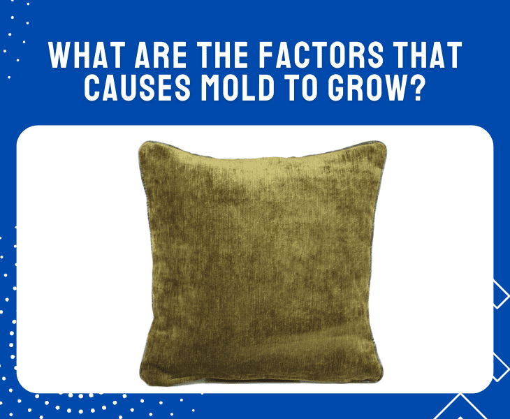 factors that cause mold growth