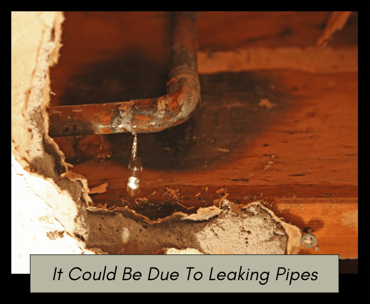 pipe leaks