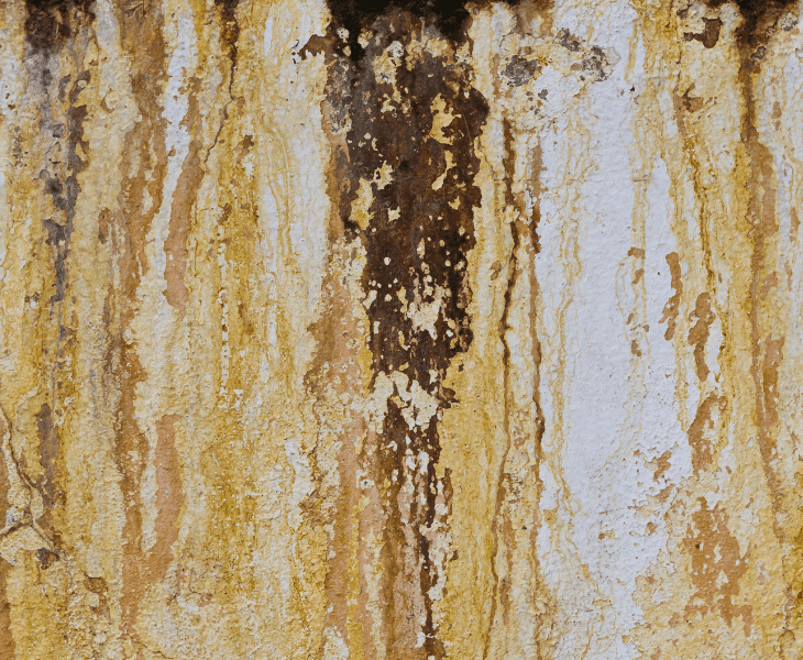 rust in concrete