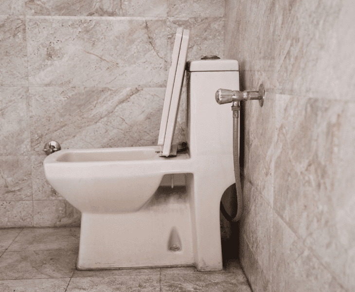 toilet