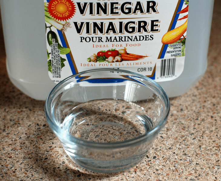 vinegar