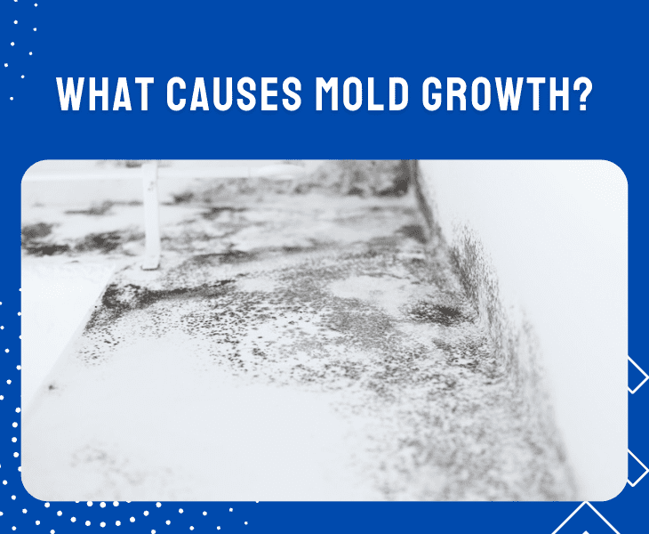 causes of mold growth