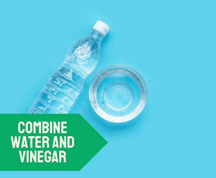 water and vinegar