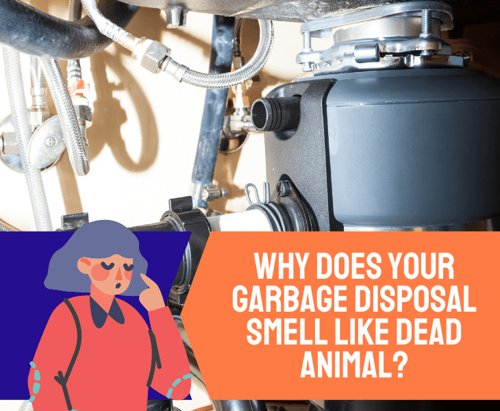 why your garbage disposal smell