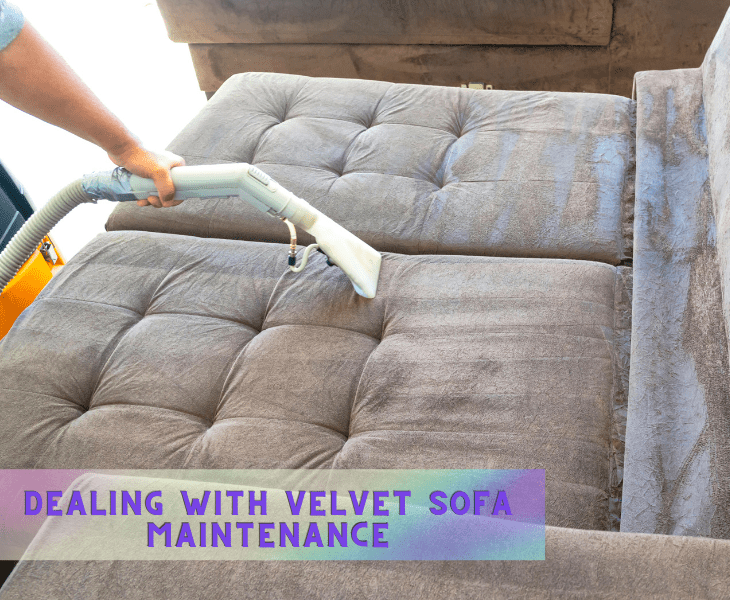 Dealing With Velvet Sofa Maintenance