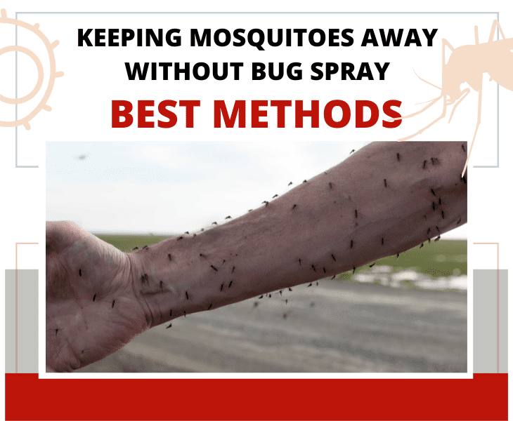 keeping away mosquitoes