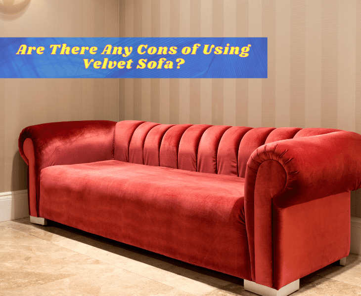cons of velvet sofa