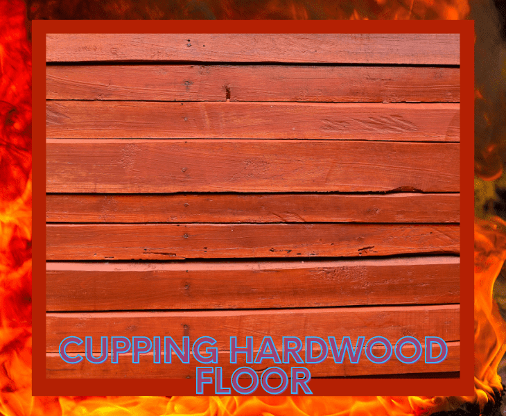 cupping the hardwood floor
