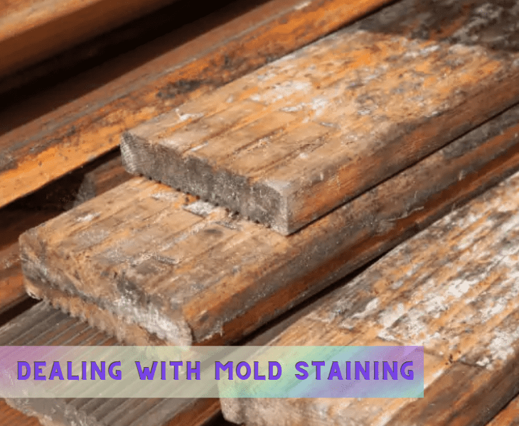 deal with mold staining