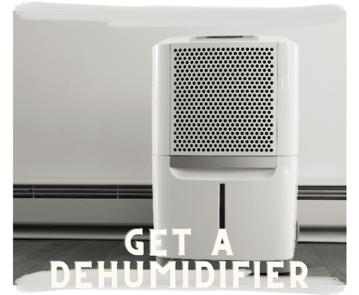 use a dehumidifier