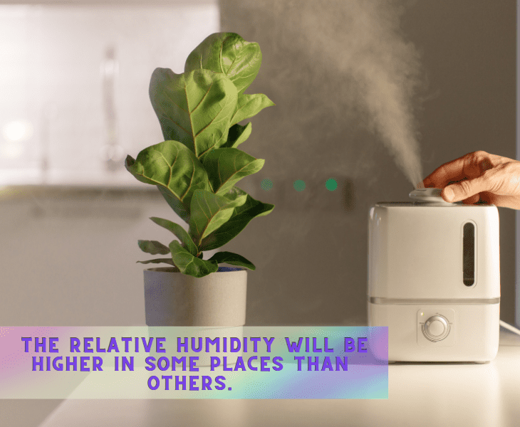 higher relative humidity
