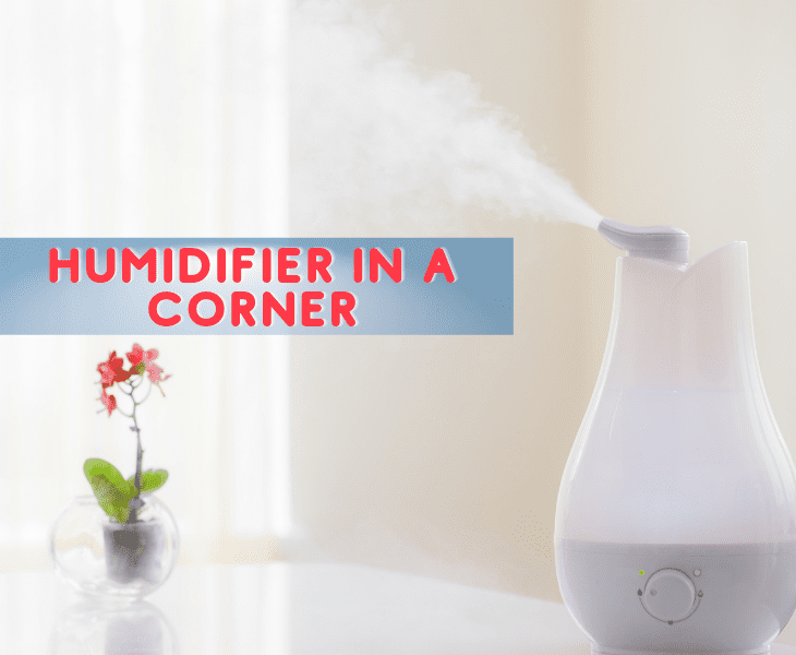humidifier in corner