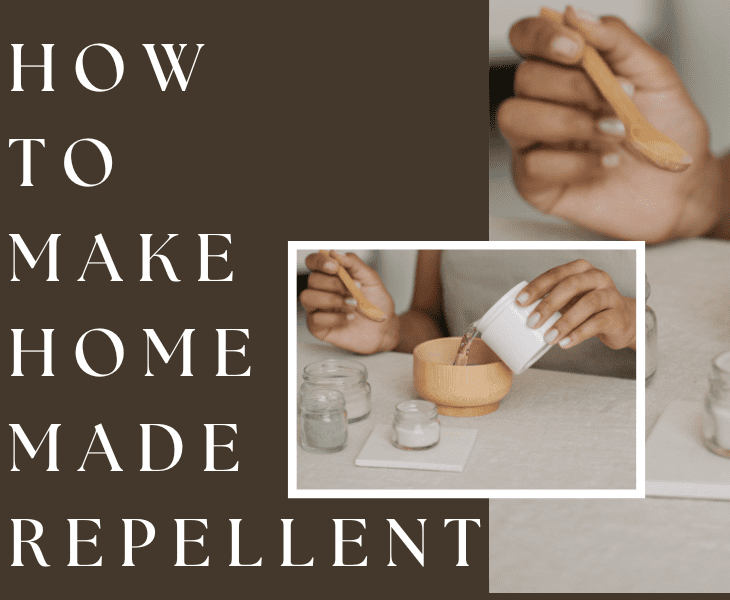 home made repellent creation