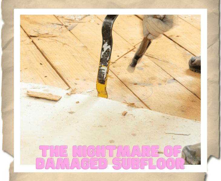 subfloor nightmare