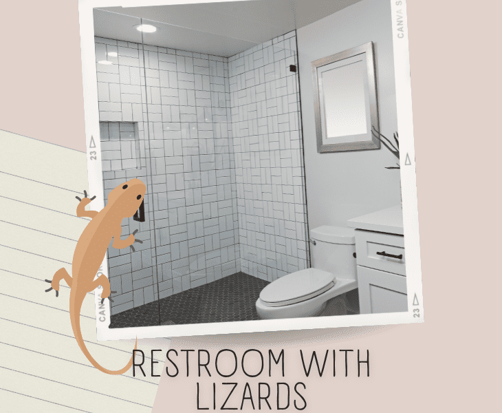 bathroom with lizards