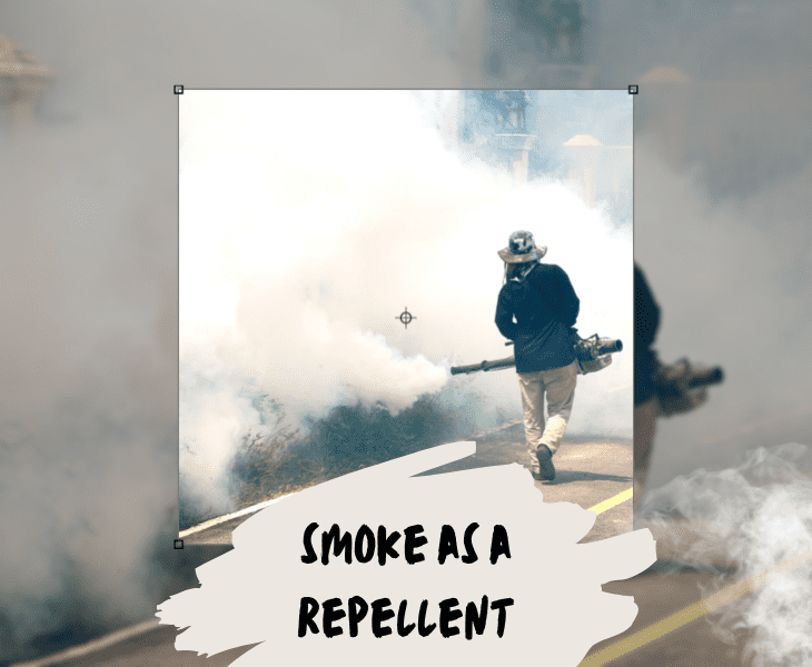 utilizing smoke