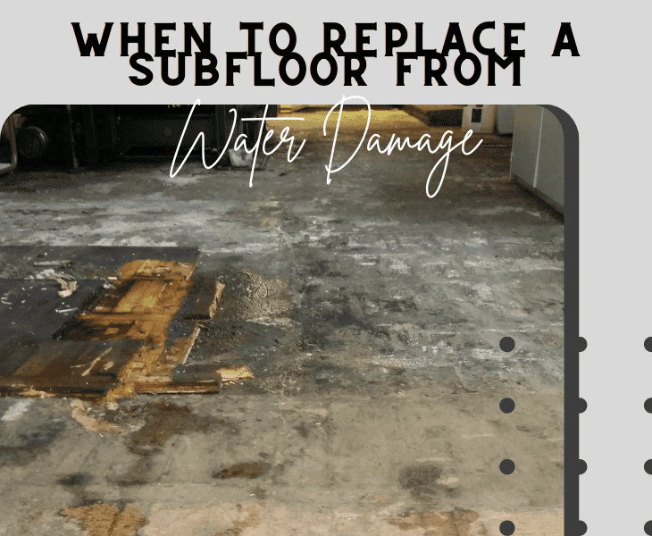 water damage subfloor