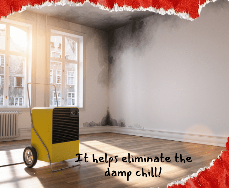 chill of damp
