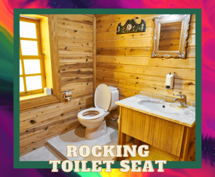 a rocking toilet seat