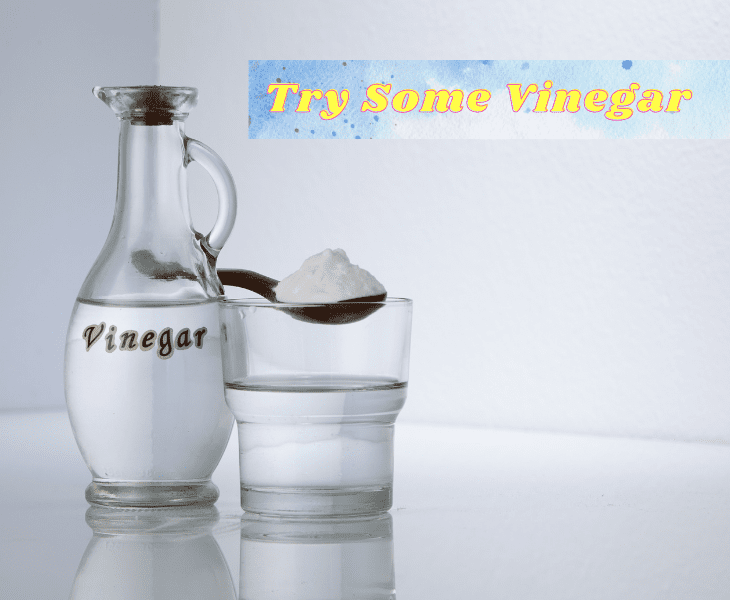 put some vinegar