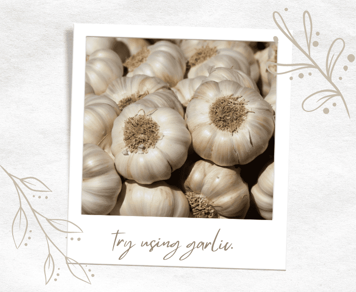 make use of garlic