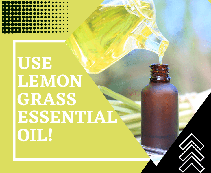 lemongrass essential oil