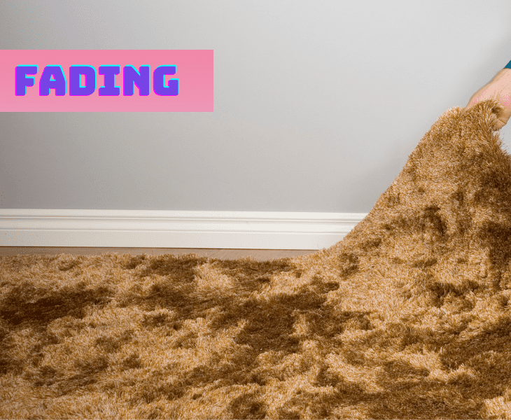 exposing bathroom rugs