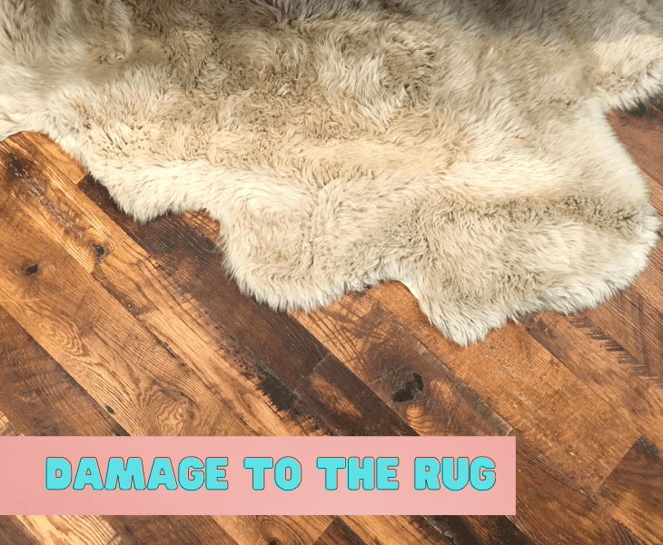 rugs heat damage