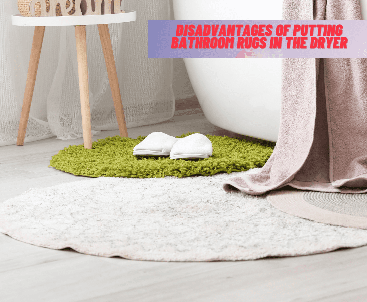 disadvantages rugs in dryer