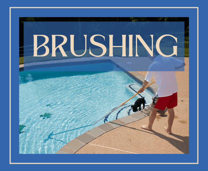 by brushing pool