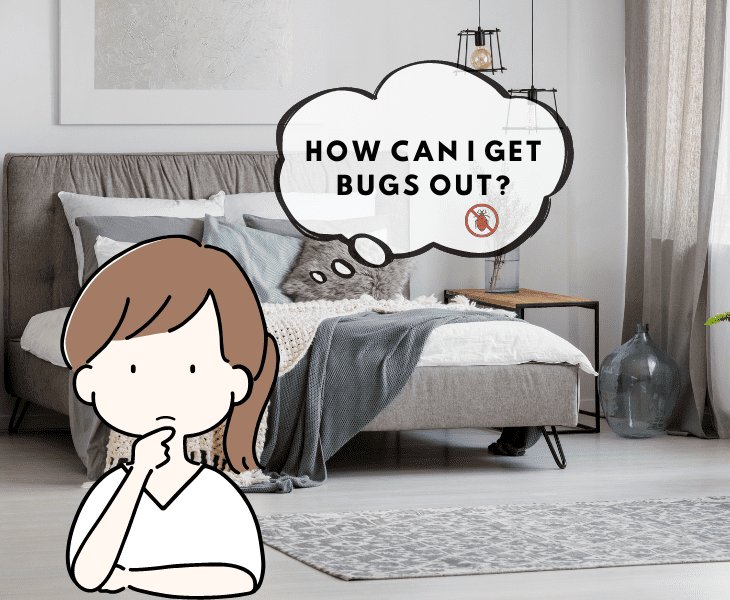 how get bugs out of room at night