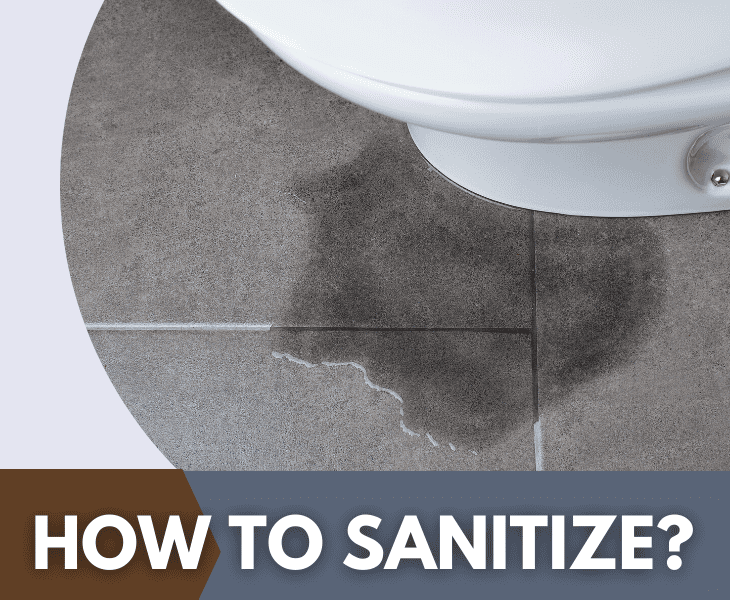 how sanitize toilet the toilet