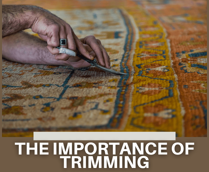 an importance of trimming