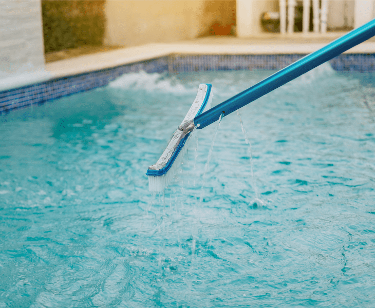 place your skimmer in water