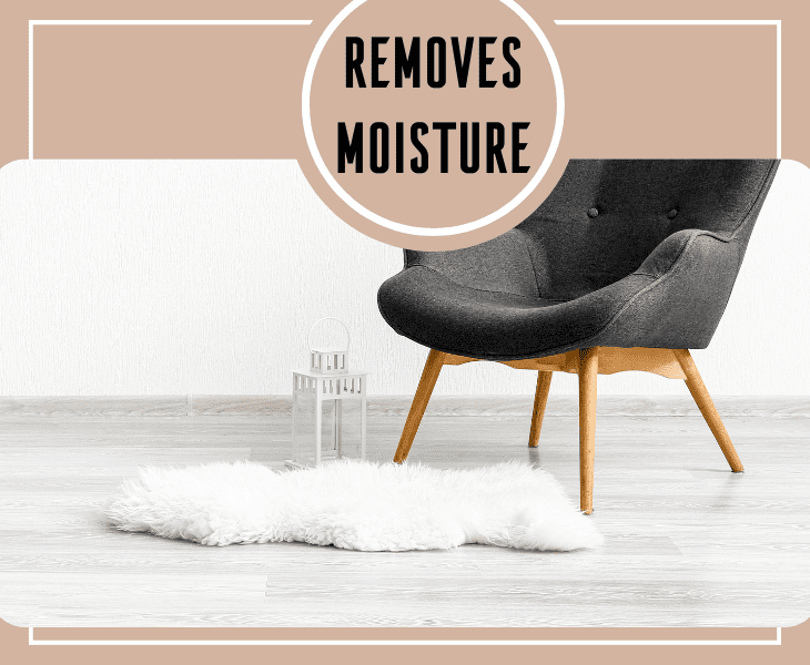 removes a moisture