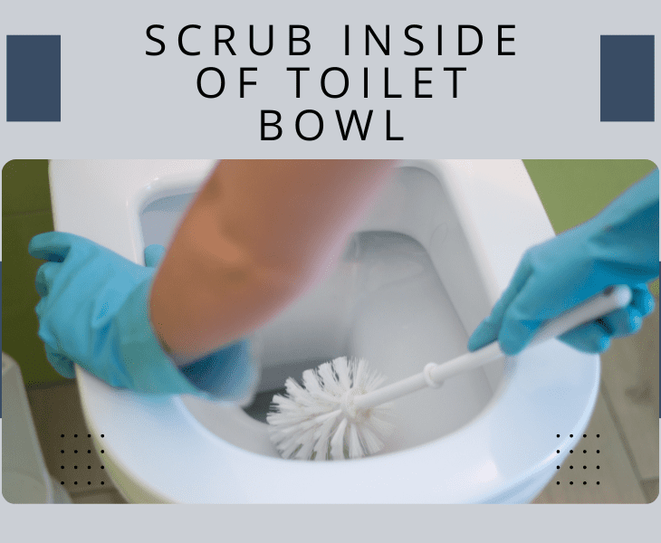 scrub the inside of toilet bowl