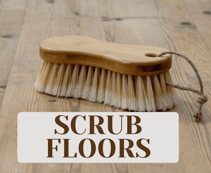scrub floors