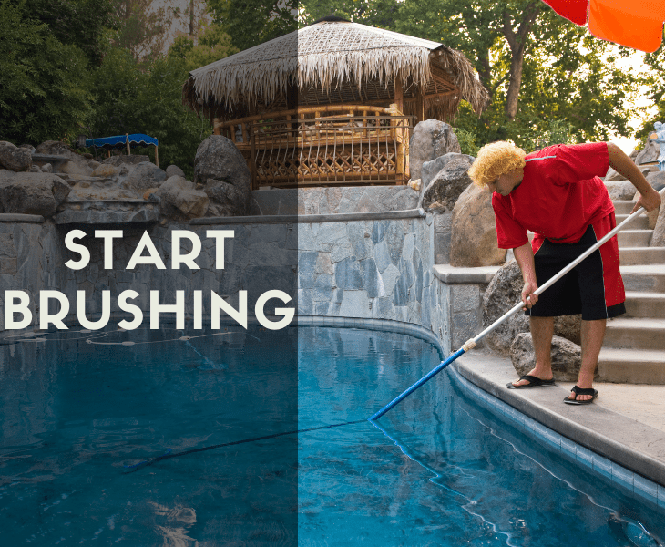 enter and start brushing
