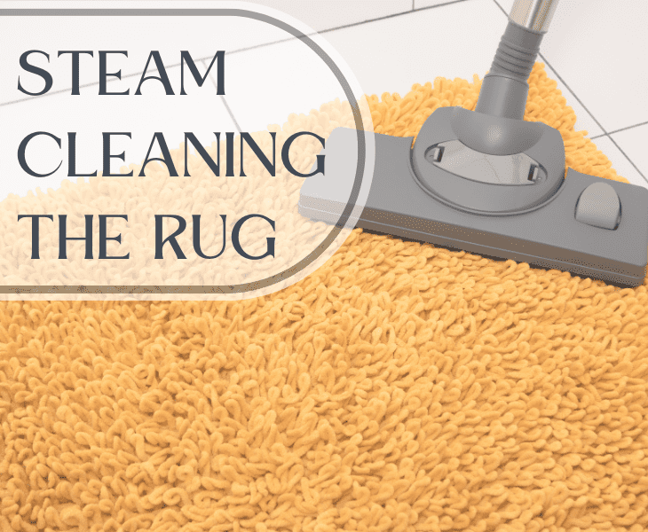 the steam cleaning the rug