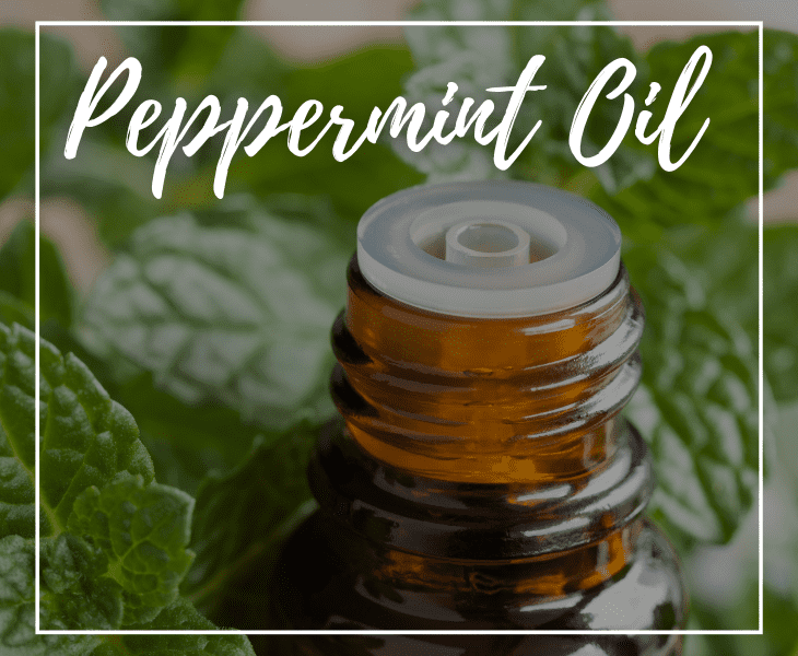 use peppermint oil