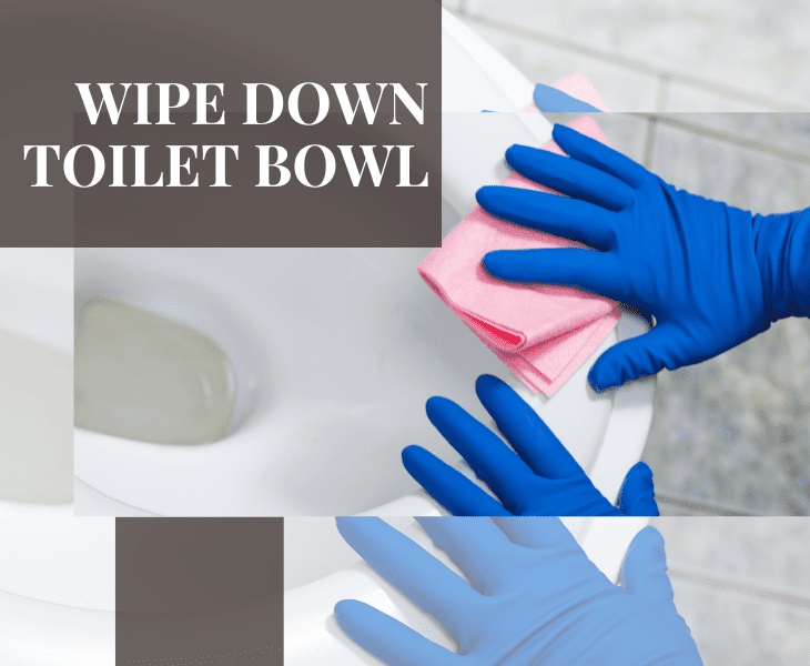 wipe down the toilet bowl