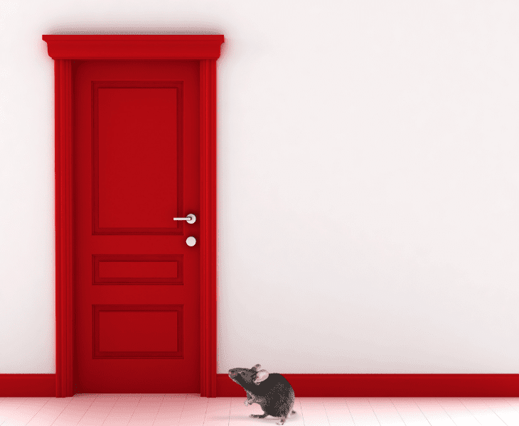how can mouse push door open