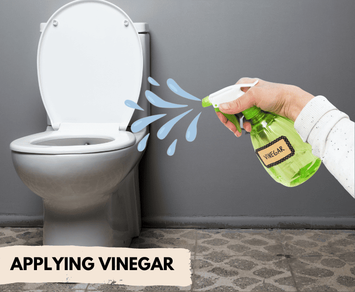 applying vinegar in the toilet seat
