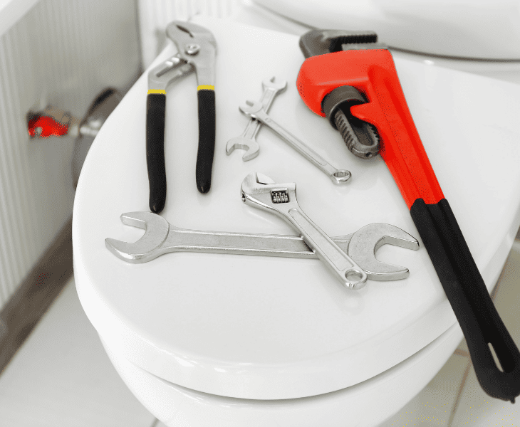 correct elongated toilet seat for you